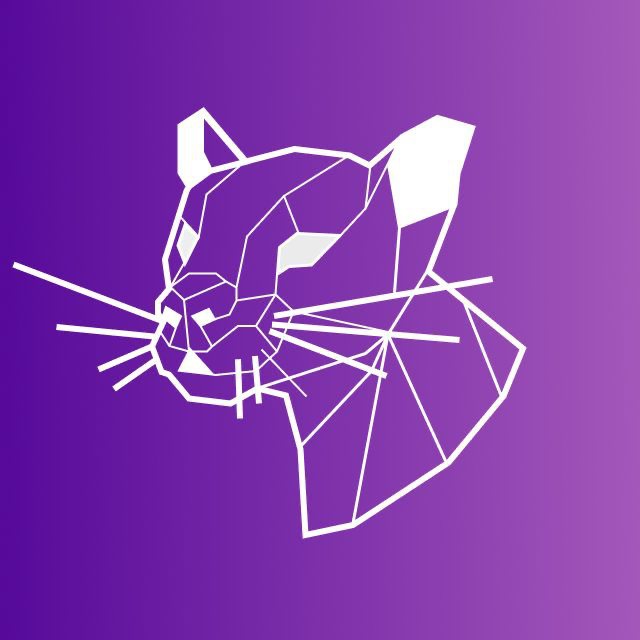 Логотип Discord Insider